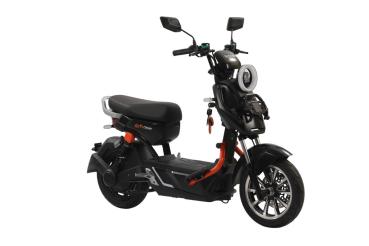 Preview: HOLVEX EVO ONE